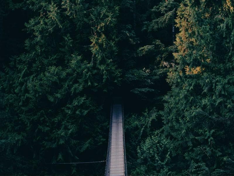 Frontend dasturchi (React) — to'liq stavka